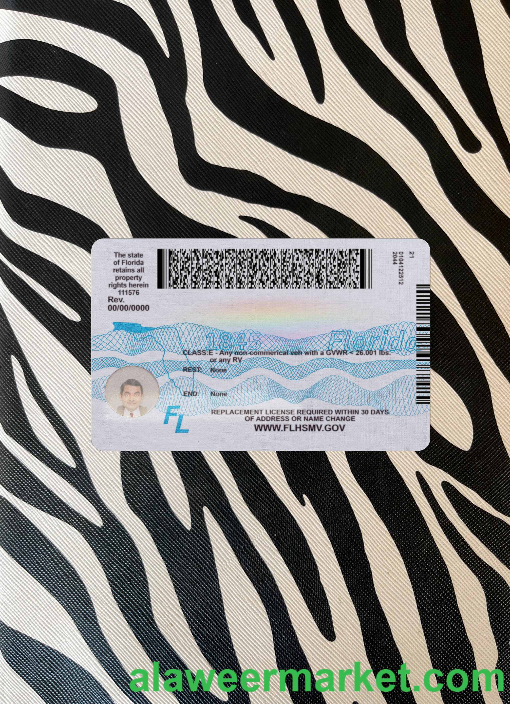 USA Florida driving license 2018-present photolook back